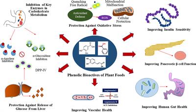 Phenolic Bioactives From Plant-Based Foods for Glycemic Control